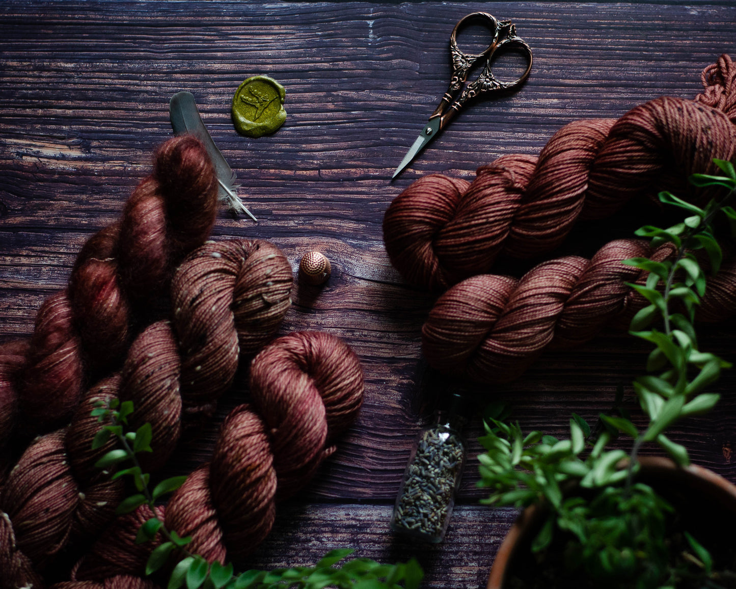 Ana Carem | Fig Lace