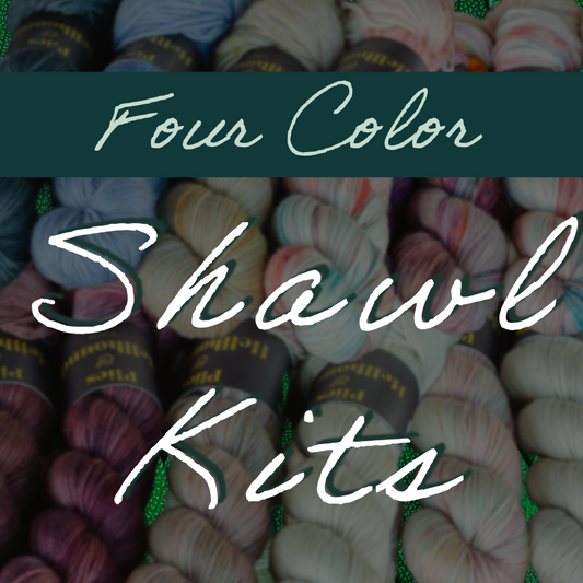 4 Color Surprise Shawl Kit